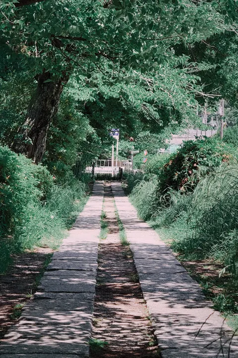 日本·京都 · 2026-05-10