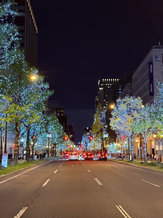 日本·大阪 · 街道与夜间灯饰 · 2024-11-30