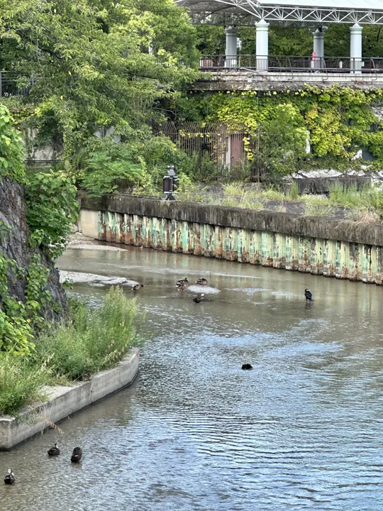 日本·京都 · 水边与石桥 · 2023-08-28