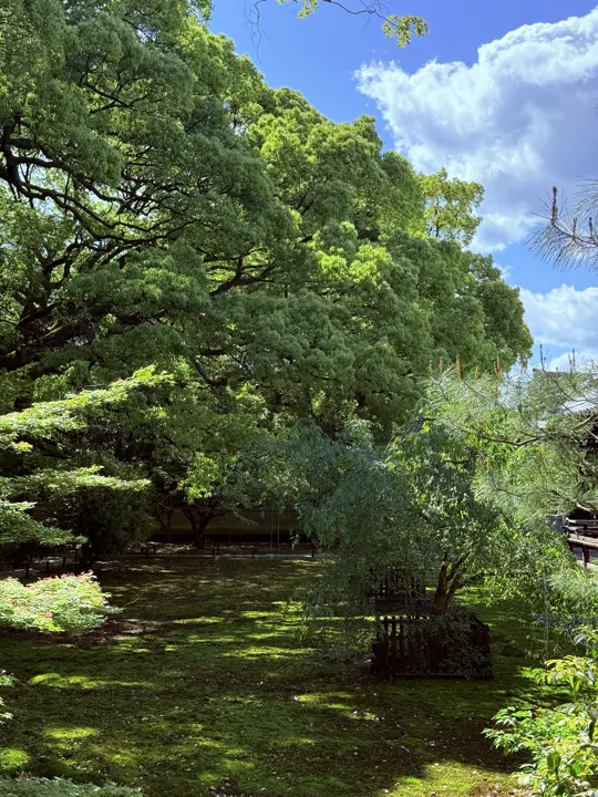 日本·京都 · 2026-05-09