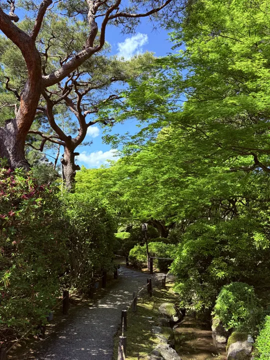 日本·京都 · 2026-05-09