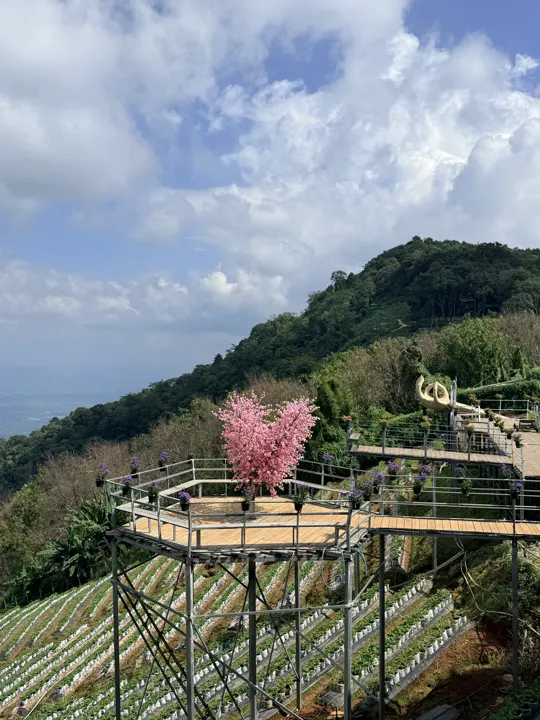 泰国·湄林 · 2025-10-21