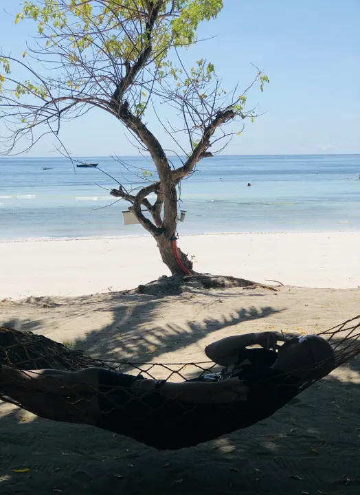 フィリピン・Panglao · 2020-01-27