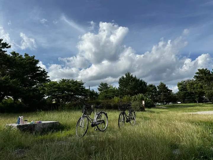 日本·大津 · 2024-06-29