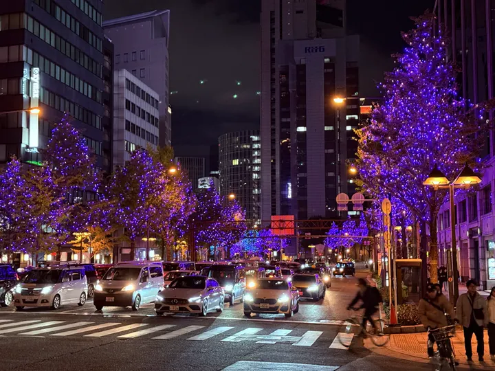 日本·大阪 · 2024-11-30