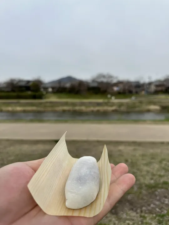 日本·京都 · 2024-04-02