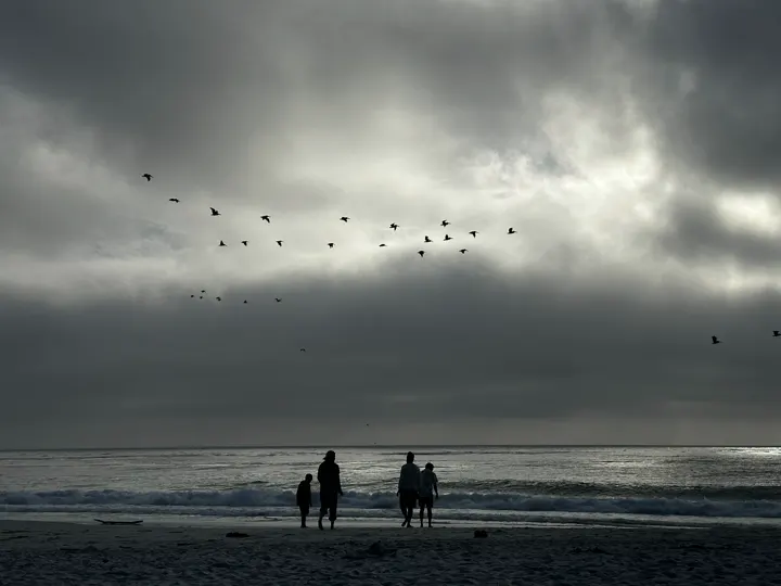Carmel, California · 2024-08-10