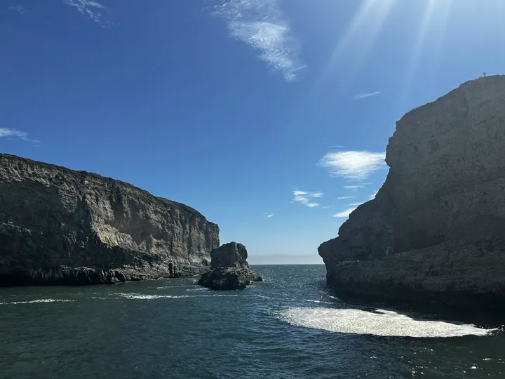 カリフォルニア・ダベンポート · 2024-08-10