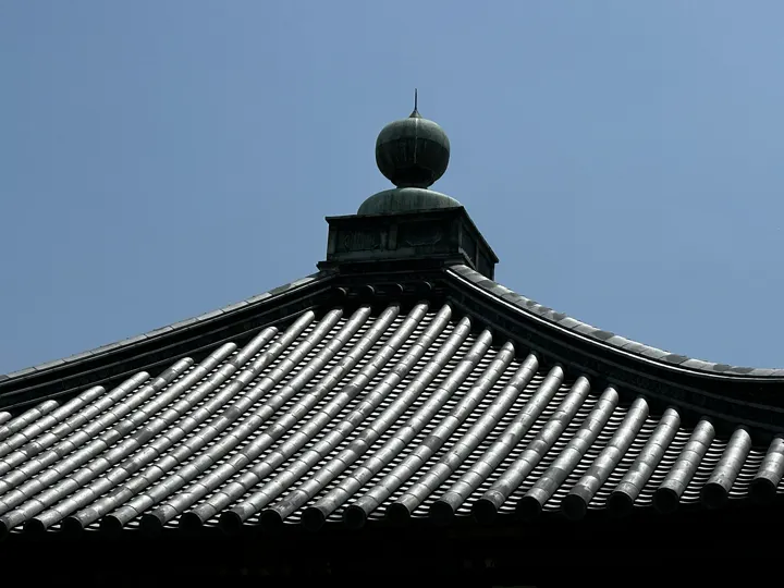 日本·斑鸠 · 2024-05-26