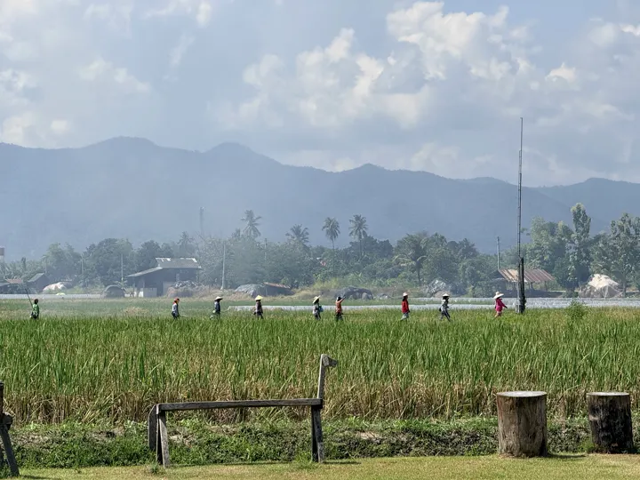 Mae Wang District, Thailand · 2025-10-12