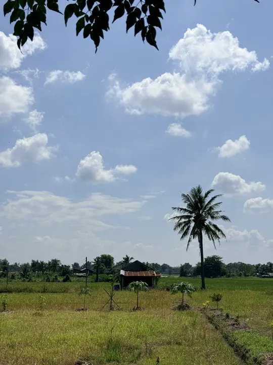 Mae Wang District, Thailand · 2025-10-12