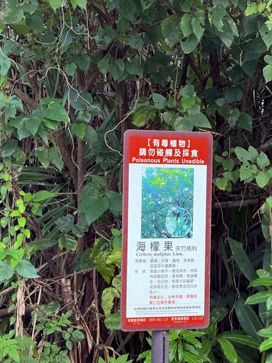 台湾·宜兰 · 2024-10-21