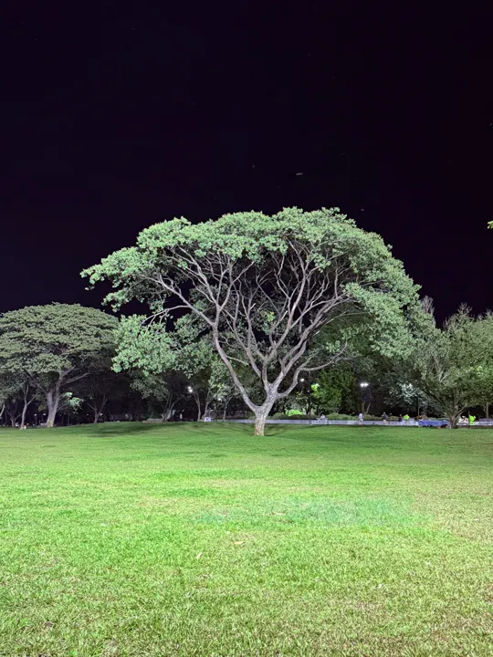 泰国·清迈城区 · 2026-05-18