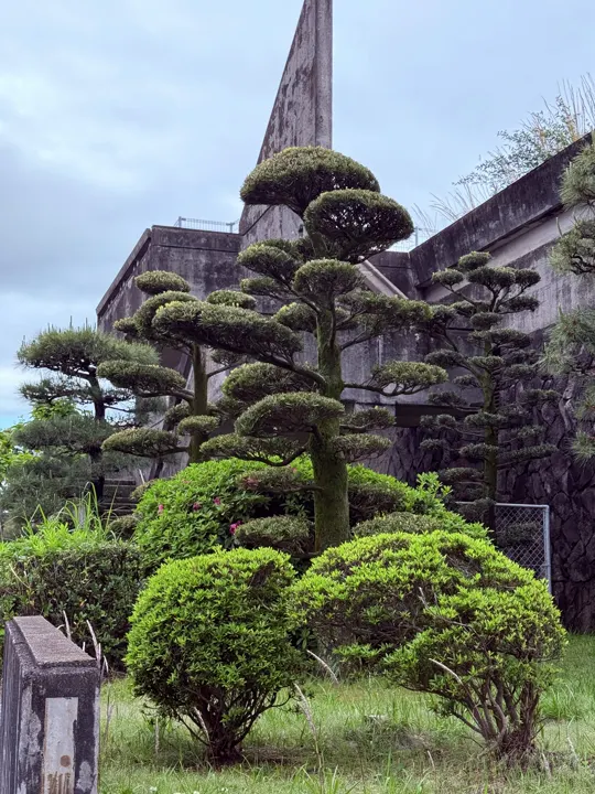 日本·沼津 · 2026-04-27