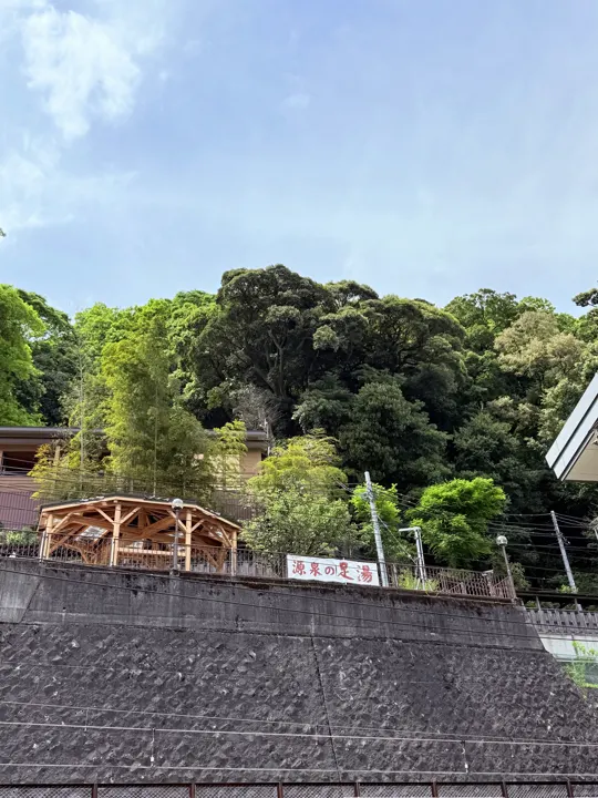 日本·箱根 · 2026-04-25