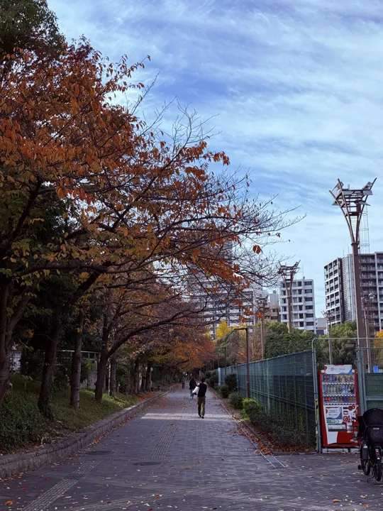 日本·大阪 · 2024-12-05